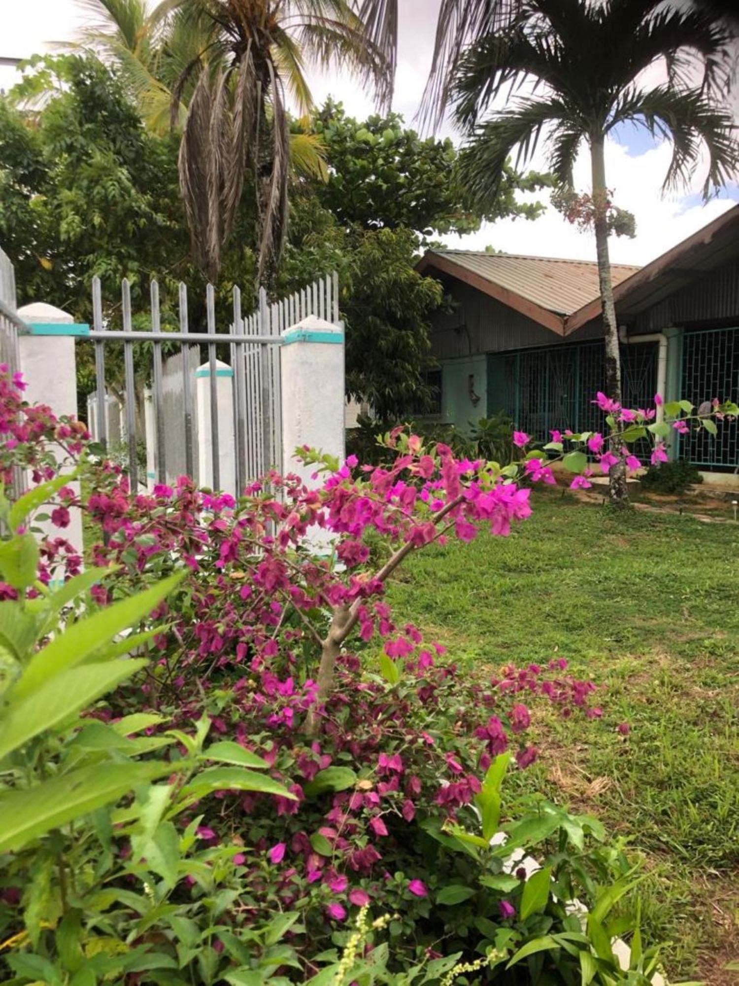 Unu Pikin Guesthouse Парамарибо Екстериор снимка