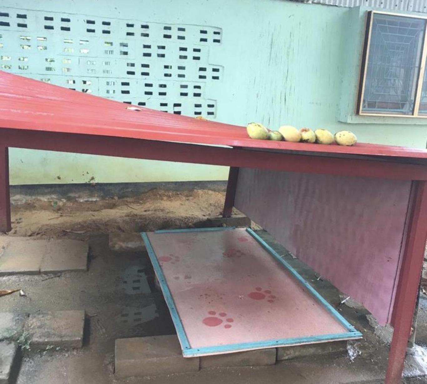 Unu Pikin Guesthouse Парамарибо Стая снимка